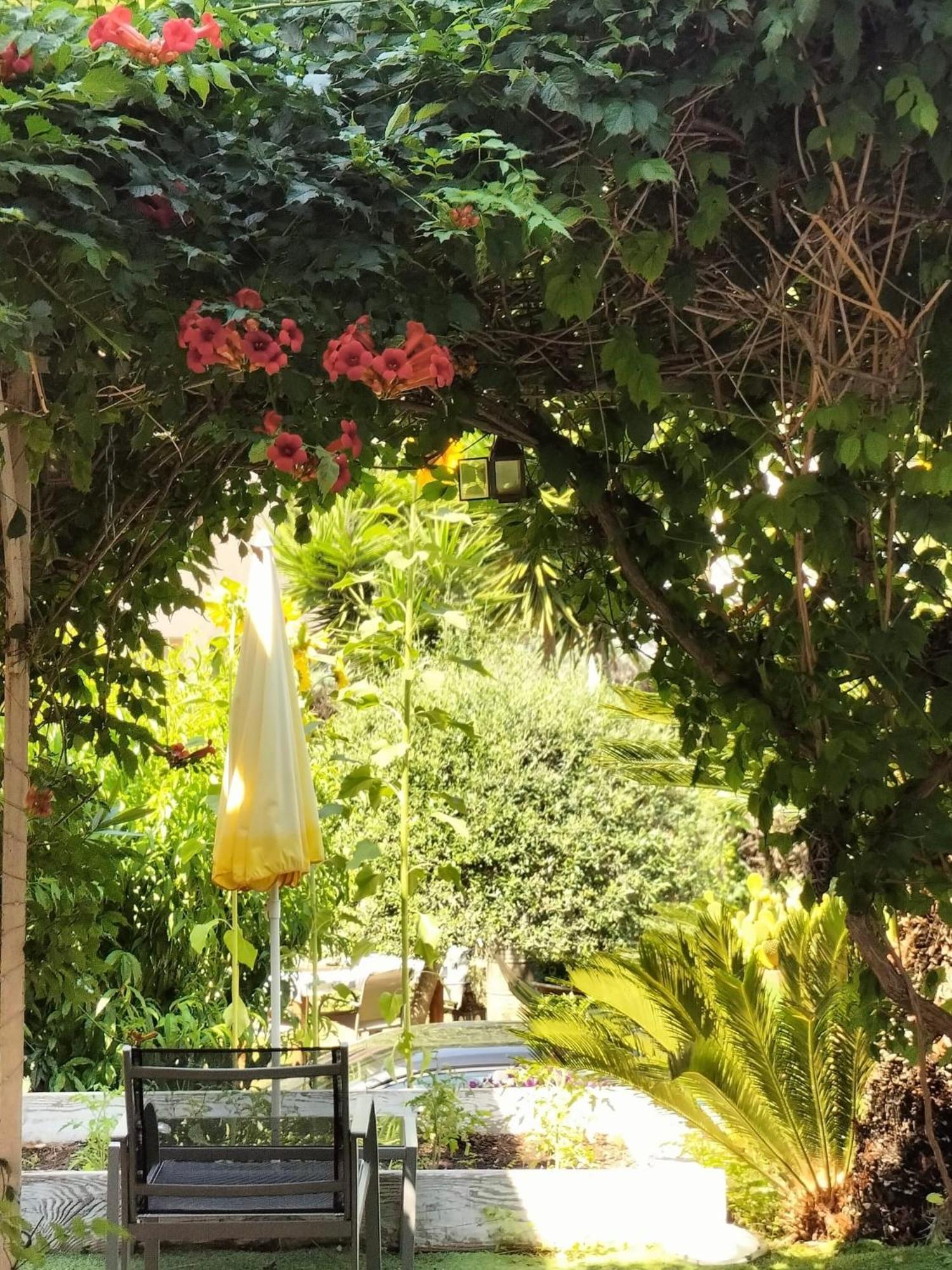 Villa Bellabe Ніцца Екстер'єр фото